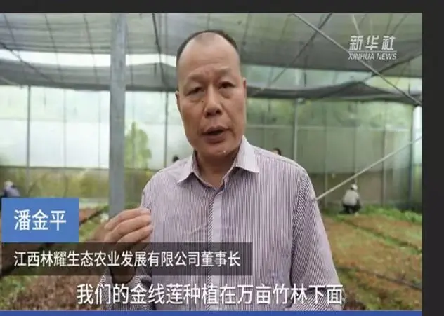 Pan Jinping, Tagapangulo ng Jiangxi Linyao Ecological Agriculture Development Co., Ltd., nakapanayam ng Xinhua News Agency