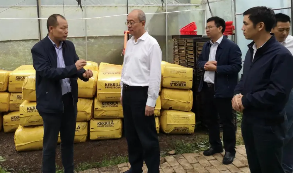 Si Xie Guanghua, Kalihim ng Partido at Direktor ng Jiangxi Provincial Administration ng Traditional Chinese Medicine, ay nagsasagawa ng pananaliksik sa Anoectochilus planting base